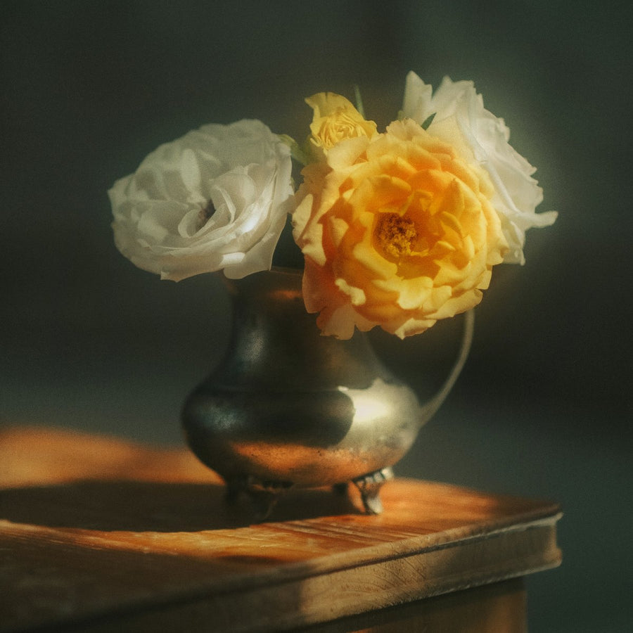 White and golden yellow roses in a silver pitcher on a wooden table in soft window light, floral fragrance family