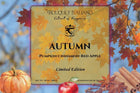 AUTUMN FALL SEASON LUXURY CANDLE